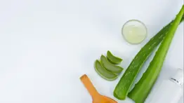 Aloe vera para el rostro: dile adiós a las arrugas en simples pasos