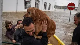 Segunda vuelta en Portugal: El país acude a las urnas bajo estado de calamidad por el temporal Marta