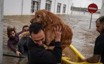 Segunda vuelta en Portugal: El país acude a las urnas bajo estado de calamidad por el temporal Marta
