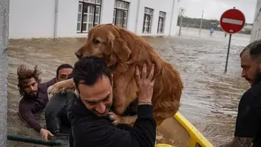 Segunda vuelta en Portugal: El país acude a las urnas bajo estado de calamidad por el temporal Marta Segunda vuelta en Portugal: El país acude a las urnas bajo estado de calamidad por el temporal Marta