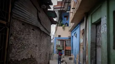 Hallan decenas de mascotas muertas en Caracas: revelan detalles del cruel caso Hallan decenas de mascotas muertas en Caracas: revelan detalles del cruel caso