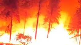 Mueren dos bomberos al combatir incendio forestal: identifican a los fallecidos