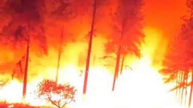 Mueren dos bomberos al combatir incendio forestal: identifican a los fallecidos Mueren dos bomberos al combatir incendio forestal: identifican a los fallecidos