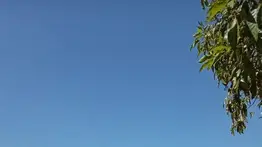 Marchas y concentraciones del chavismo y la oposición este 12 de febrero: rutas y calles restringidas