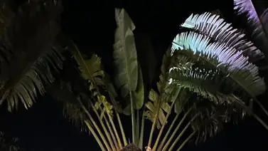 ¡Ahora sí está confirmado! Isabella Ladera y Hugo García avanzan en su relación y así lo anunciaron ¡Ahora sí está confirmado! Isabella Ladera y Hugo García avanzan en su relación y así lo anunciaron