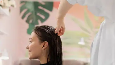 Fortalece el cabello con esta mascarilla natural a base de una planta rica en vitaminas: así debes aplicarla para aprovechar su efecto Fortalece el cabello con esta mascarilla natural a base de una planta rica en vitaminas: así debes aplicarla para aprovechar su efecto