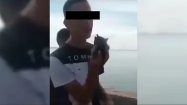 Maltrato animal en el Zulia: se entrega el joven que lanzó a un gato al Lago de Maracaibo Maltrato animal en el Zulia: se entrega el joven que lanzó a un gato al Lago de Maracaibo