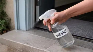 El poder del vinagre al entrar a casa: conoce por qué debes rociarlo y cada cuánto El poder del vinagre al entrar a casa: conoce por qué debes rociarlo y cada cuánto