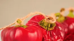 El "oro rojo" en la cocina: secretos para elegir el mejor pimentón para tus guisos