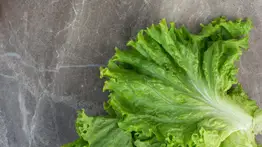 Truco para guardar la lechuga: ayuda a que dure más tiempo fresca en casa