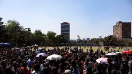 Los therians haciendo de las suyas: primer evento en México termina en fracaso