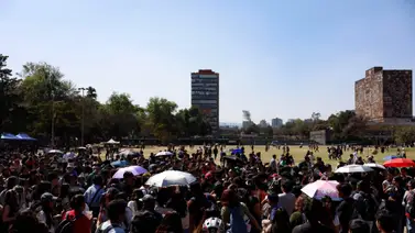 Los therians haciendo de las suyas: primer evento en México termina en fracaso Los therians haciendo de las suyas: primer evento en México termina en fracaso