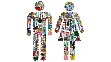 Impostores en el organismo: los disruptores endocrinos están en todos lados Impostores en el organismo: los disruptores endocrinos están en todos lados