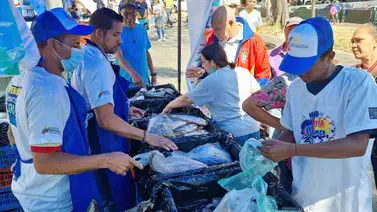 Pescado a bajo costo en Caracas este 27 y 28 de febrero: lista de parroquias dónde comprar Pescado a bajo costo en Caracas este 27 y 28 de febrero: lista de parroquias dónde comprar