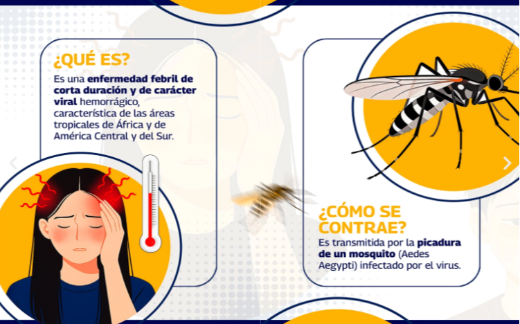 Bajo vigilancia cuatro estados por brote de fiebre amarilla: ¿Cuál es el protocolo para viajeros? Bajo vigilancia cuatro estados por brote de fiebre amarilla: ¿Cuál es el protocolo para viajeros?