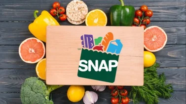 Recertificación SNAP USA