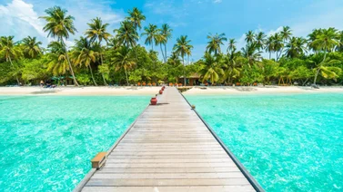 Destinos del Caribe para Disfrutar de los Juegos de Azar y Sacar Provecho del Juego Online