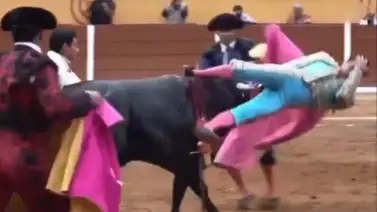 Torero mexicano es sometido a nueve horas de cirugía: recibió cornada en el área rectal Torero mexicano es sometido a nueve horas de cirugía: recibió cornada en el área rectal