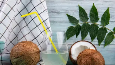 ¿El agua de coco elimina los cálculos renales? Esto dice la ciencia ¿El agua de coco elimina los cálculos renales? Esto dice la ciencia