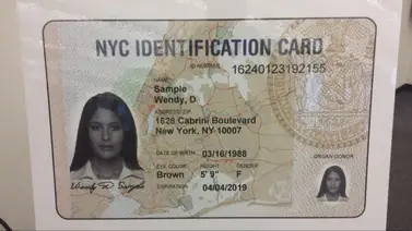 IDNYC Nueva York indocumentados IDNYC Nueva York indocumentados