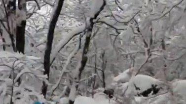 Turistas caen por escaleras congeladas en China: el momento queda grabado en video