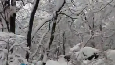 Turistas caen por escaleras congeladas en China: el momento queda grabado en video