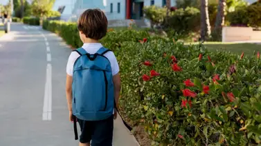 Menor ICE Hawái Menor ICE Hawái