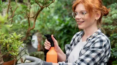 Vinagre: el mejor aliado de tus plantas ¡Conoce por qué! Vinagre: el mejor aliado de tus plantas ¡Conoce por qué!