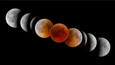 Luna de Sangre desde MIAMI Luna de Sangre desde MIAMI