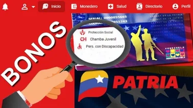 Sistema Patria: Así puedes recibir los beneficios a través de la plataforma digital