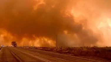 incendios forestales texas estados unidos incendios forestales texas estados unidos