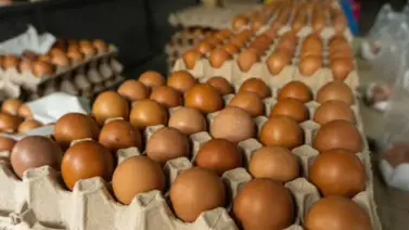 Donarán miles de huevos en Chicago: Ubicación y horario de las entregas Donarán miles de huevos en Chicago: Ubicación y horario de las entregas