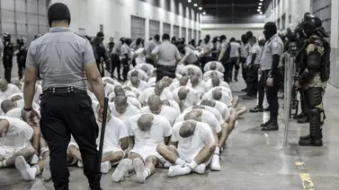 deportaciones venezolanos inmigrantes el salvador estados unidos donald trump casa blanca deportaciones venezolanos inmigrantes el salvador estados unidos donald trump casa blanca