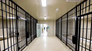 Florida: los delitos que pueden imputarse a los migrantes con la nueva ley SB 2 Florida: los delitos que pueden imputarse a los migrantes con la nueva ley SB 2