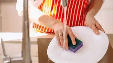 El efectivo truco para desinfectar la esponja de cocina y evitar bacterias El efectivo truco para desinfectar la esponja de cocina y evitar bacterias