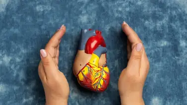 Así puedes regular el nivel del colesterol sin medicamentos Así puedes regular el nivel del colesterol sin medicamentos