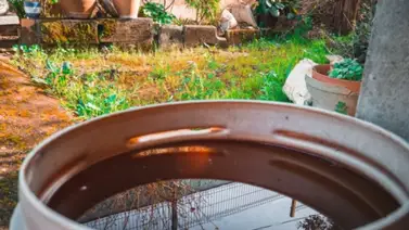 Agua almacenada: ¿cómo usarla de forma eficiente mientras nos bañamos? Agua almacenada: ¿cómo usarla de forma eficiente mientras nos bañamos?