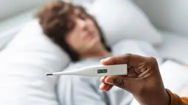 CDC Dengue USA CDC Dengue USA