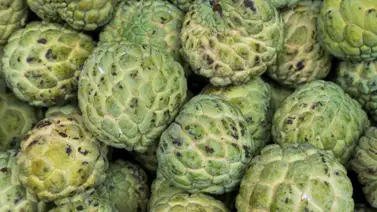 Dulce de guanábana: un postre con solo cuatro ingredientes Dulce de guanábana: un postre con solo cuatro ingredientes