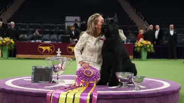 2001online - Estados Unidos - Competencia 2001online - Estados Unidos - Competencia