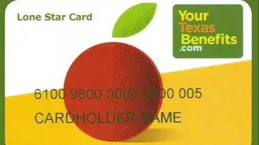 Pagos SNAP Lone Star Texas Pagos SNAP Lone Star Texas