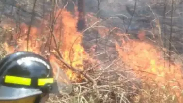 Incendio forestal en Tazón este 01 de marzo: Bomberos difunden imágenes del lugar Incendio forestal en Tazón este 01 de marzo: Bomberos difunden imágenes del lugar