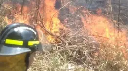 Atienden varios incendios forestales en Caracas: Conozca las zonas afectadas