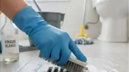 El aliado invisible que siempre tienes cerca: este es el hábito cotidiano puede cambiar la higiene de tu hogar