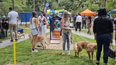 Reinauguran Parque de Mascotas La Lagunita en Caracas Reinauguran Parque de Mascotas La Lagunita en Caracas
