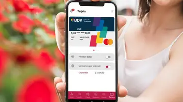 Banco de Venezuela revela cifras sobre venta de divisas electrónicas durante este 2026: detalles Banco de Venezuela revela cifras sobre venta de divisas electrónicas durante este 2026: detalles