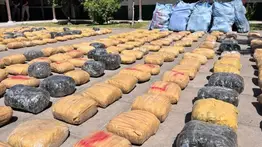 Incautan millonario cargamento de marihuana durante operativo policial: tres venezolanos detenidos 