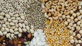 Conoce todos los beneficios que aportan estas semillas a tu salud: previenen el cáncer y el Alzheimer