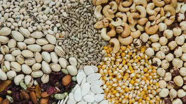 Conoce todos los beneficios que aportan estas semillas a tu salud: previenen el cáncer y el Alzheimer Conoce todos los beneficios que aportan estas semillas a tu salud: previenen el cáncer y el Alzheimer