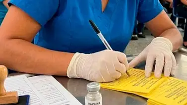 Atención Aragua: activan 257 puntos de vacunación contra la fiebre amarilla tras confirmación de brote Atención Aragua: activan 257 puntos de vacunación contra la fiebre amarilla tras confirmación de brote